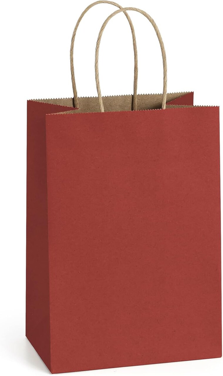 Kraft Paper Bags 25Pcs 5.25x3x8 Inches Small Paper Gift Bags with Handles Red Gift Bags with Stripes for Christmas Valentine‘s Day Party Favor